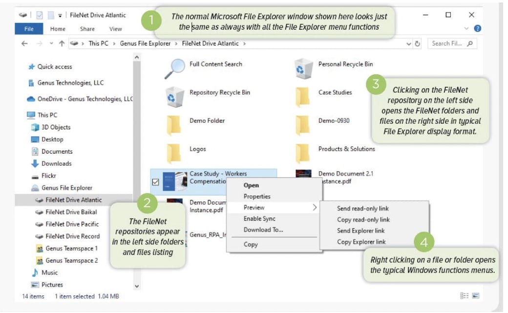 Data Sheet_IBM FIleNet Image